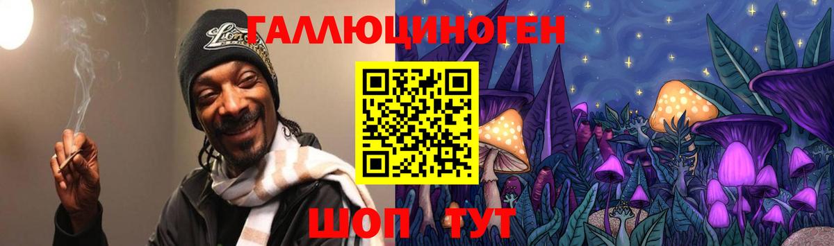 Галлюциногенные грибы Psilocybe  Вход с VPN  где купить наркоту  Кстово 